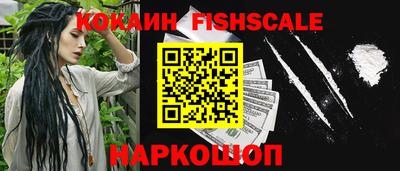a pvp Гатчина