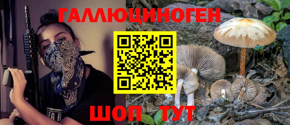 Псилоцибиновые грибы мицелий  Вход с VPN  Курчалой  Галлюциногенные грибы мухоморы 